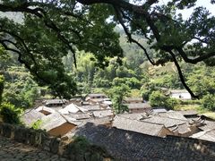 -杨家堂村