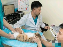 -美迦爱-牙专科·兔科·骨科诊疗中心(北苑店)