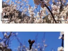 -崂山九水游览区