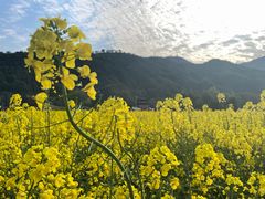 -泽雅景区