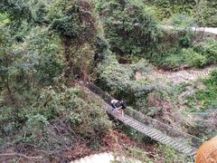 -南丹山森林王国