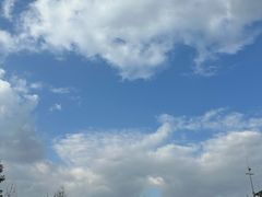 -白鹭湾湿地公园