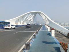 -星光岛