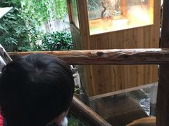 -上海大自然野生昆虫馆(东方明珠·爬宠昆虫探索中心)