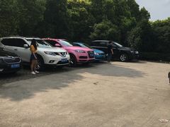 -马陆小张葡萄园农家乐