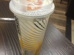 -多克多蒸气茶DOKDO(鼓楼绿地店)