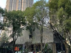 -重庆市江北嘴中央商务区中央公园