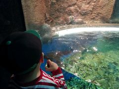 -成都浩海立方海洋公园