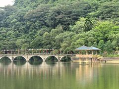 -英德宝晶宫天鹅湖茶语温泉