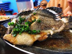清蒸石斑鱼-明记海鲜大排档(巽寮湾店)