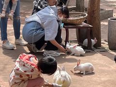 -柳州市动物园