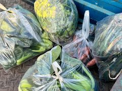 -蟹村草堂·苏式园林人文农家·大闸蟹