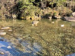 -萍乡武功山风景名胜区