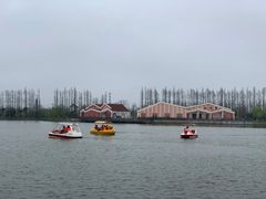 -上海长兴岛郊野公园