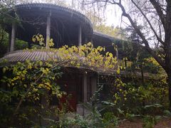 -淇河国家湿地公园