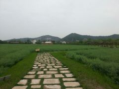 android_upload_pic-长兴太湖图影湿地文化园