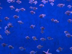 -沈阳海洋探索中心