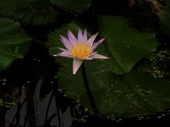 -北京植物园-展览温室