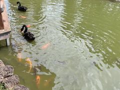 -海南热带野生动植物园