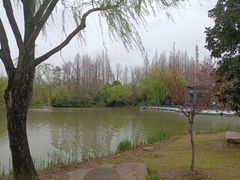 -上海滨江森林公园