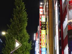 -秋叶原电器街