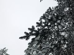 -海螺沟风景区
