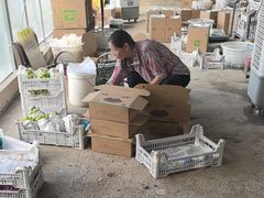 -马陆小张葡萄园农家乐