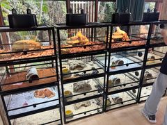 -三亚亚龙湾人间天堂鸟巢度假村