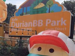 -榴莲BB 四季果园