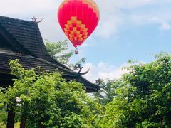 -中国科学院西双版纳热带植物园