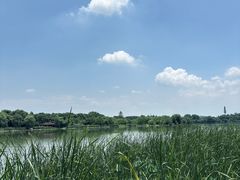 -东湖落雁景区
