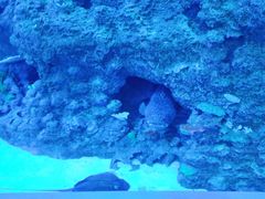 -成都浩海立方海洋公园