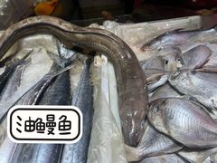 -温岭石塘海边