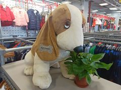 -上品折扣(回龙观店)