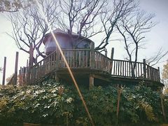 -田园东方蜜桃村的田野营地