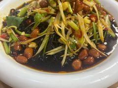 酸辣蕨根粉-川渝美食家常菜(北四环中路店)