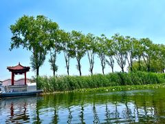 -白洋淀风景区