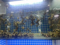 -开小灶(公望街店)