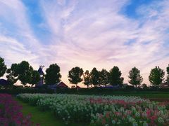 -花博汇(知音花月夜)