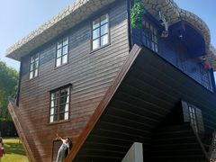 -金山农民画村-枫泾波兰倒置屋