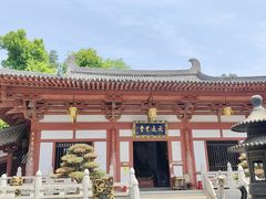 -灵谷景区