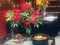 -魔厨私房菜(观音桥店)