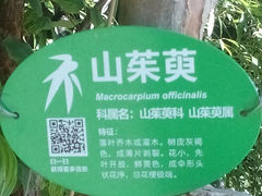 -紫竹院公园冰场