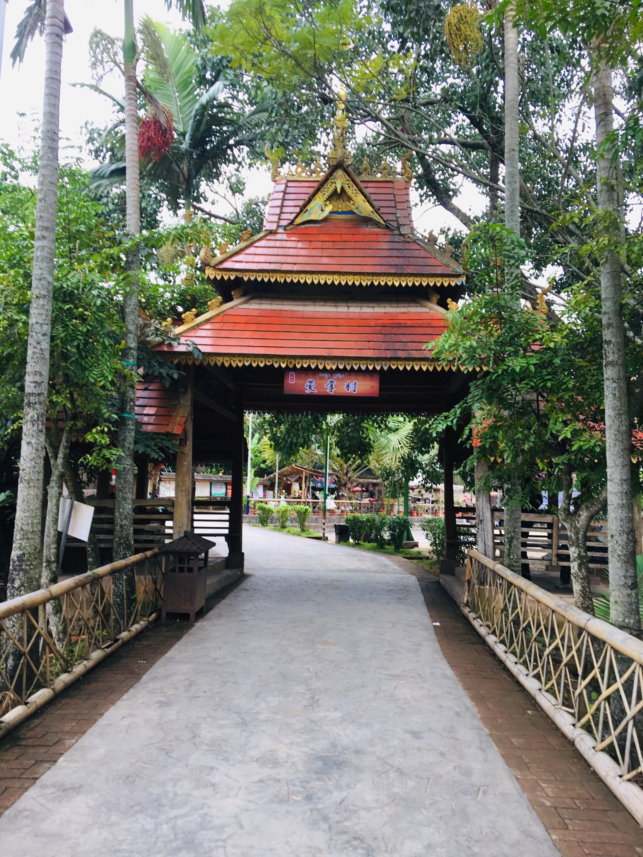 西双版纳曼掌村