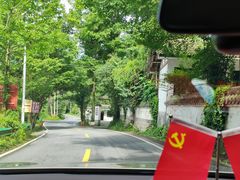 -张醪糟