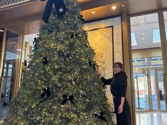 -王府半岛酒店·大堂茶座