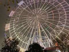 -南昌之星摩天轮