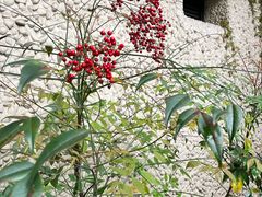 -上海蔡元培故居陈列馆