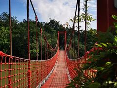 -上海吴淞炮台湾国家湿地公园