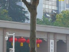 -南京航空航天大学(明故宫校区)
